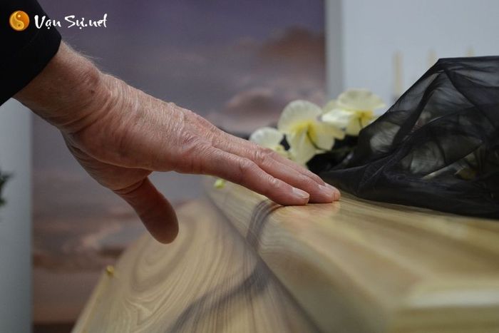 mo thay quan tai mau vang