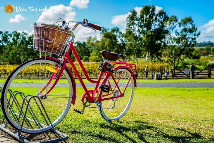 mo-thay-xe-dap mo thay xe dap