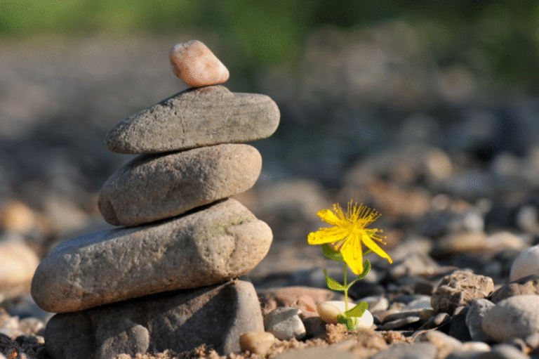 mong cau la kho 1 0922 1