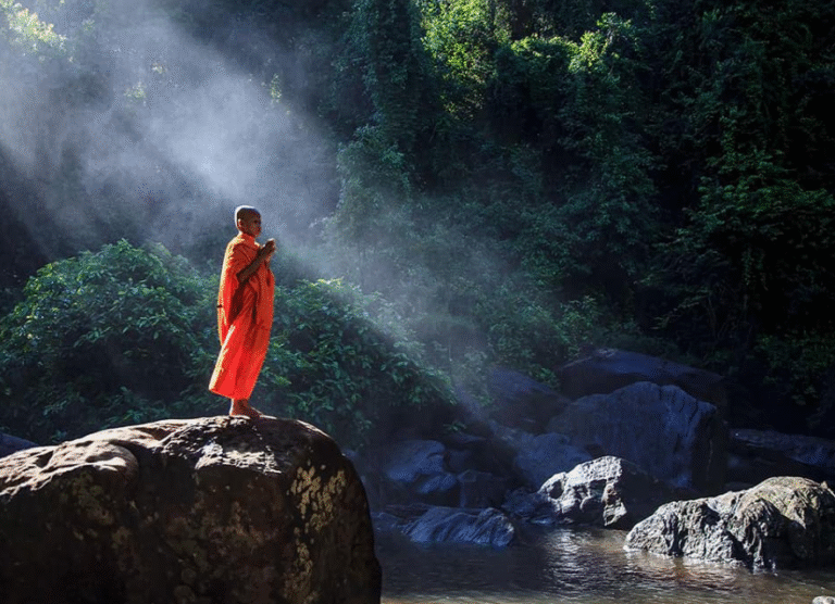 muon tam thanh tinh 1 1412 1