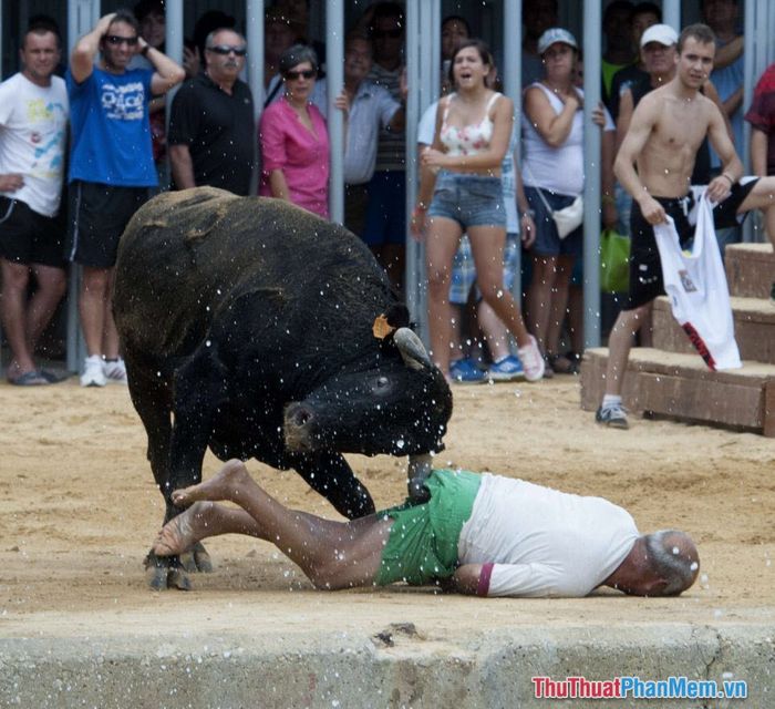 nam mo thay bi ruot duoi boi con bo 085602135