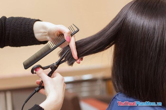 nam-mo-thay-cat-toc-vao-ban-ngay_111736674 nam mo thay cat toc vao ban ngay 111736674