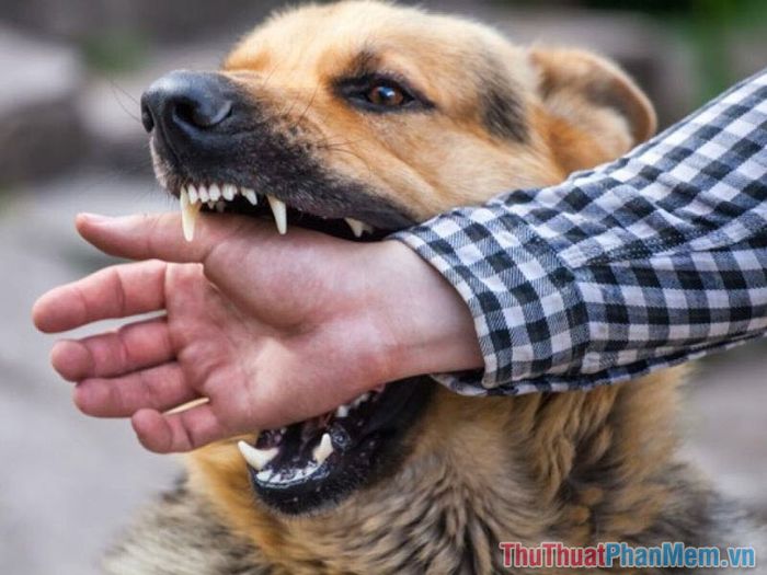 nam mo thay cho can vao nguoi yeu 015813036