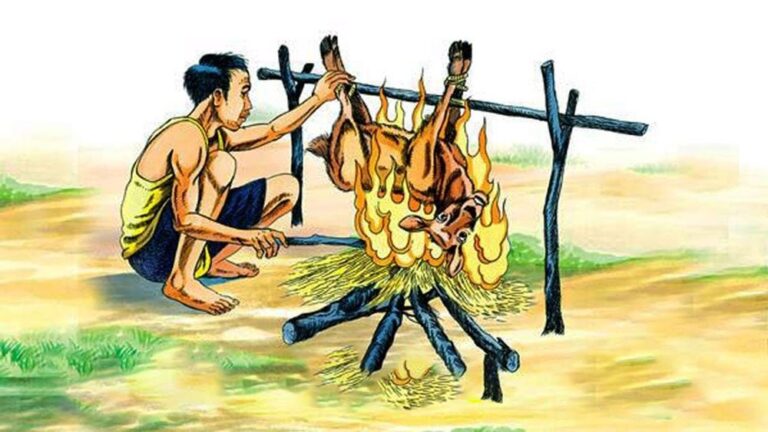 nghiep bao sat sinh 0911 1