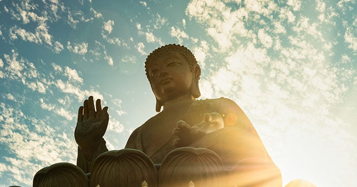 Hậu quả của nghiệp là sự luân hồi tái sinh để thọ lãnh.