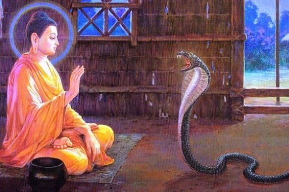 noiphatgiaoorgvn 1256 1