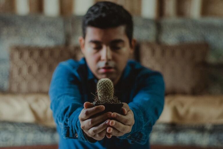 pexels alan cabello 1331558 1627 1