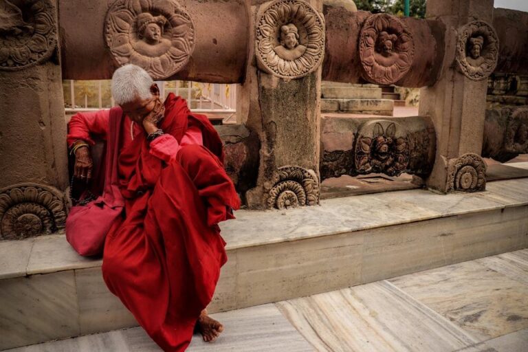 pexels prince kumar 2421468 2313 1