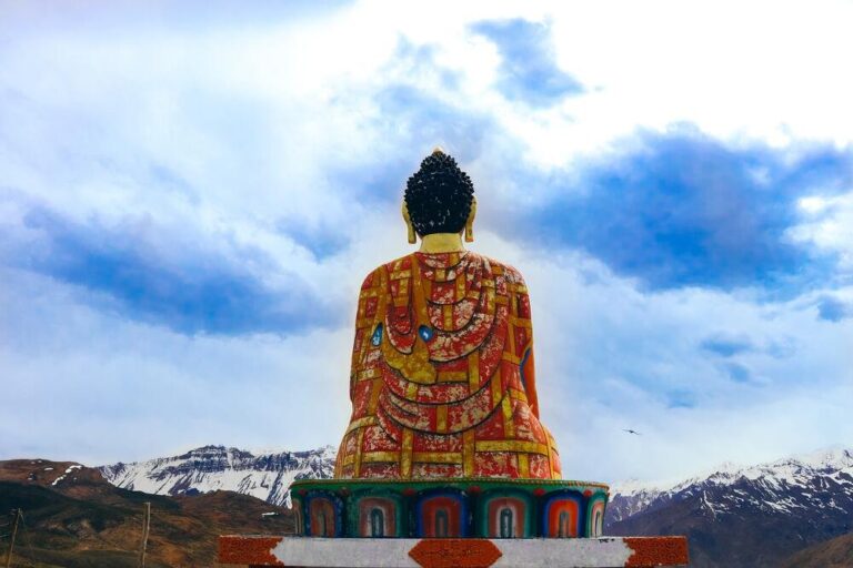 pexels sakshi patwa 5324316 1103 1