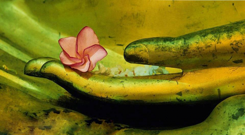 Nhân duyên trong Phật giáo