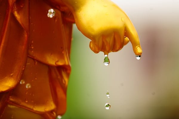 Phật Trong Tâm: Khám Phá Ý Nghĩa Sâu Sắc Nhất 2 phat tai tam 2 0854 1