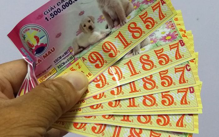 photo1494476165257 1494476165877 0 0 409 660 crop 1494476285335