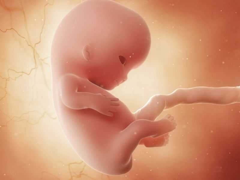 Hình ảnh minh họa về sự chuyển hóa nghiệp