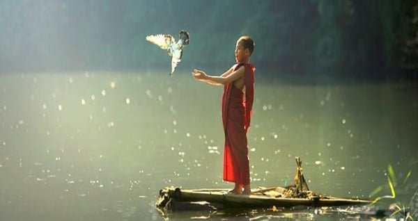 psphatgiaoorgvn 1248 1