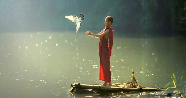 Phóng sanh đúng pháp mang lại công đức lớn