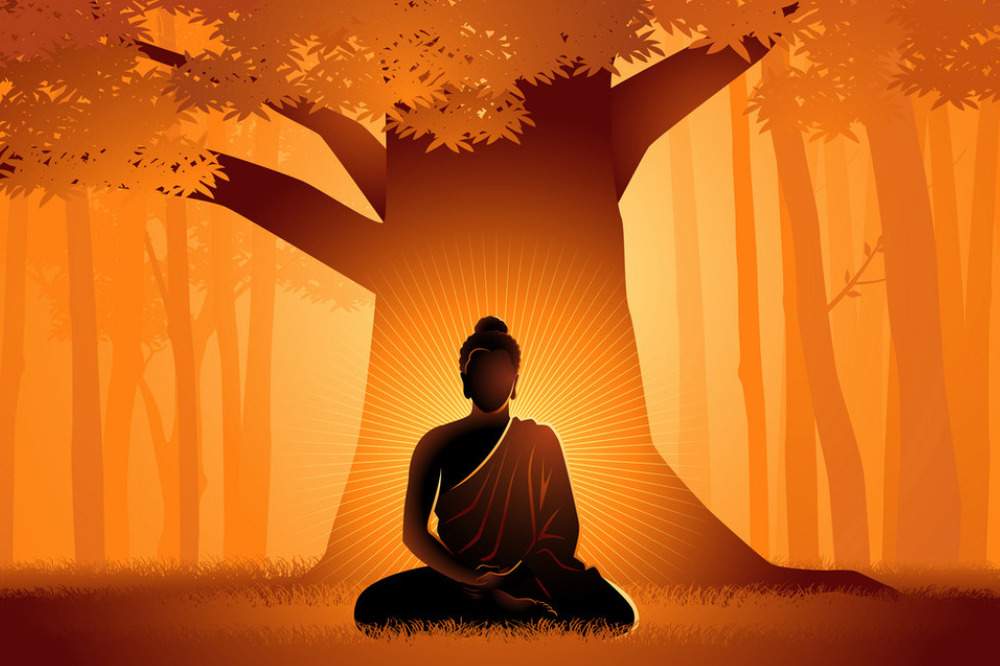 Minh họa về việc học và hành Phật pháp