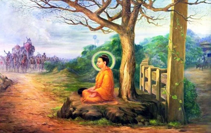 Sát sinh và quả báo theo góc nhìn đạo Phật 2