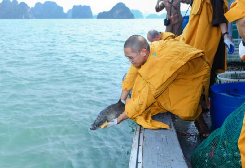 Phóng sinh như thế nào cho đúng cách?