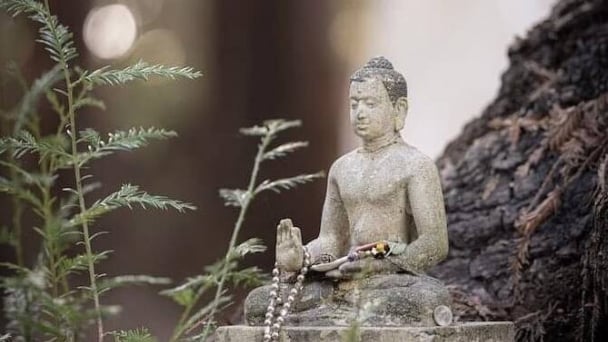 Luận bàn về số mệnh con người 1