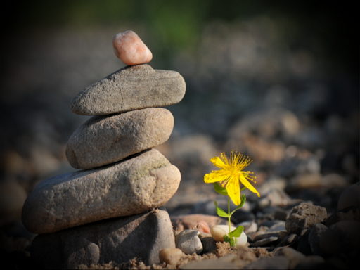 Tâm an vạn sự an – Tâm tịnh trú xứ trang nghiêm 4