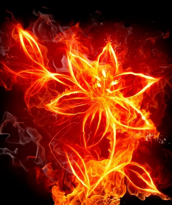 Lửa Tam Muội kỳ diệu qua góc nhìn Phật giáo và khoa học 1