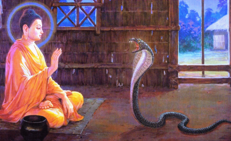 tam muoi hang ran 1720 1