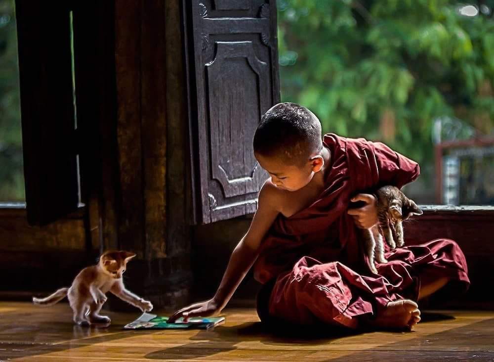 Chấp thủ là nguyên nhân dẫn đến đau khổ và vô minh 1