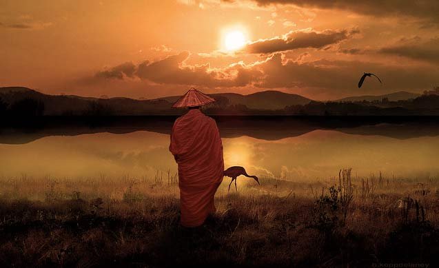 tam yen khong phai phai la vo cam1 2222 1