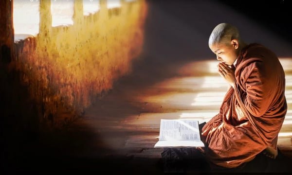 the nao la tu hanh 2037 1