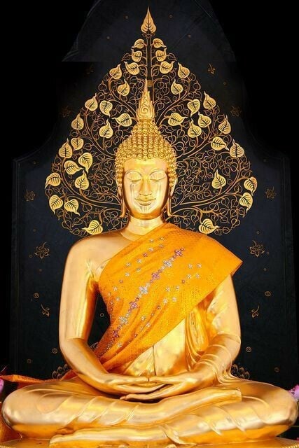 Thiền thủ ấn Thiền thủ ấn