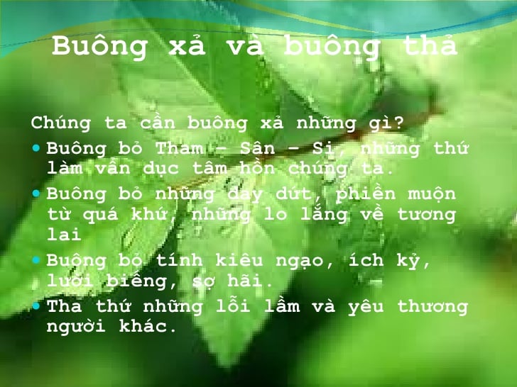Ý nghĩa của sự buông xả và hiểu sâu về sự bám víu 3
