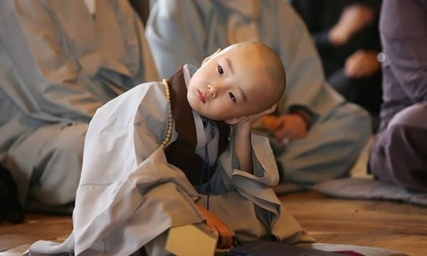 tim hieu cac the dieu tri tung trong nghi le cua phat giao 030727 0718 1