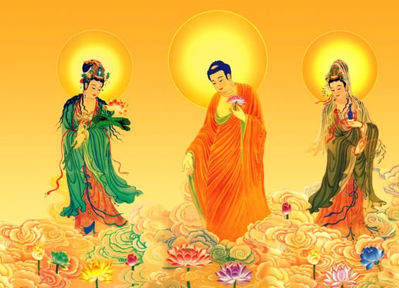 Tịnh độ tông: Khám phá những điều cốt lõi dễ hiểu nhất 2 tinh do tong 0854 1