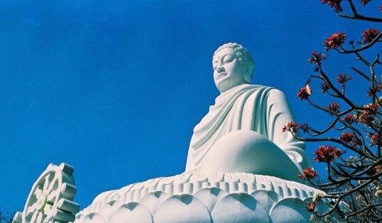 Tình tiền tù tội 2