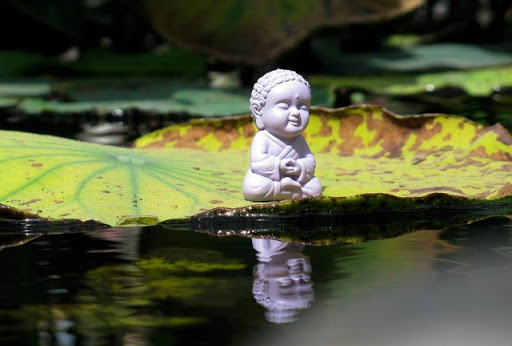 Hạnh tùy hỷ là gì? 6