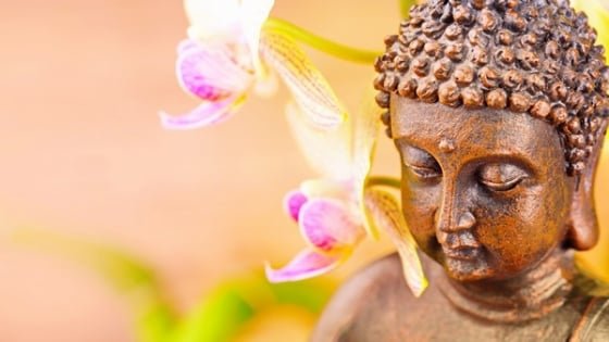 Vô thường: Thân, Tâm, và Hoàn Cảnh 2 vo thuong 1 1451 1