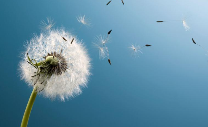 vo-thuong-2-1452 Thân vô thường, tâm vô thường, hoàn cảnh vô thường 2