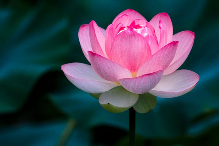 Ai cũng có những khúc quanh trong cuộc đời, tuy nhiên, đi tiếp sẽ là con đường 1