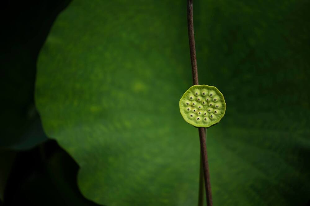 Giống nhau và khác nhau 1