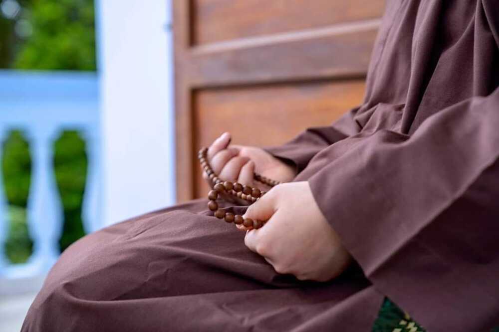 Thế nào là đời sống tỉnh táo và rốt ráo của một hành giả? 1