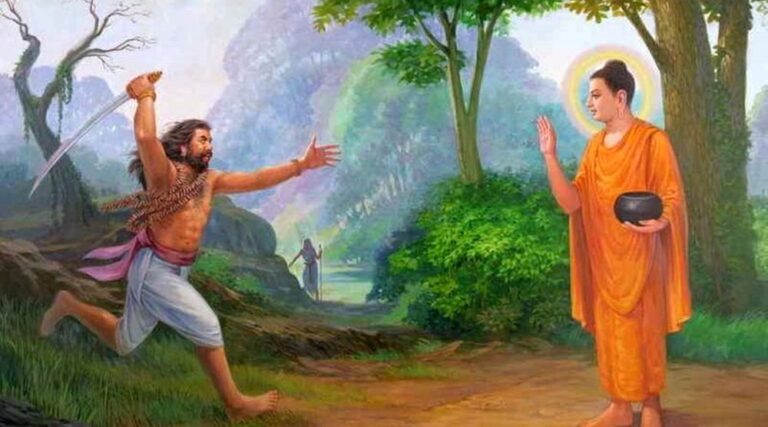 0076 2 800x445 2157 1