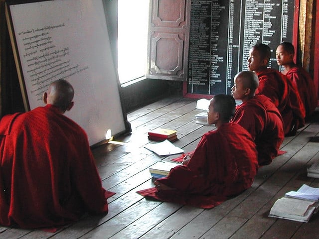 Trí tuệ và tuệ giác có giống nhau không? 1