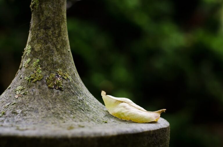 Sóng gió cuộc đời đã nuôi ta khôn lớn trưởng thành 2 01 1603 1