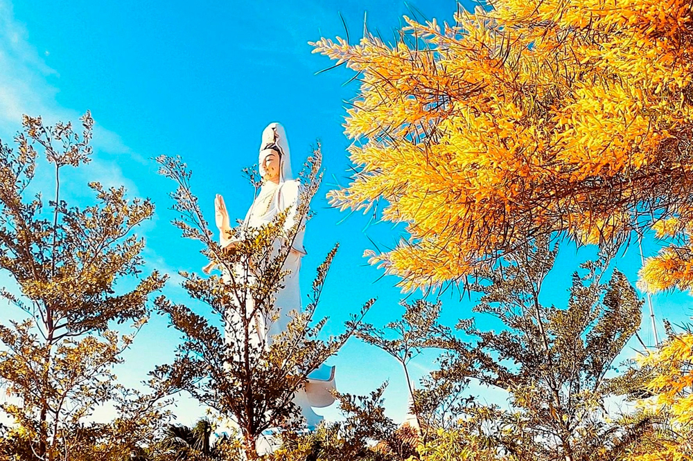 Về Bình Thuận, khám phá kiến trúc độc đáo của ngôi chùa bên đồi Trinh Nữ 3