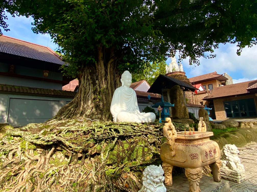 Ngôi chùa được hình thành từ lò gạch bị bỏ hoang trên đất Hà Tiên 2