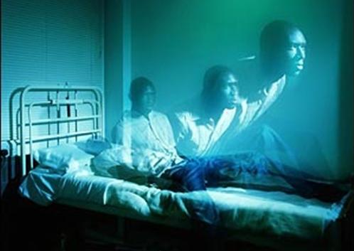 Hương linh là gì? Đời sống của hương linh thế nào? 3