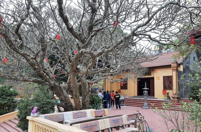 Chùa Bắc Nga: Ngôi cổ tự nơi 'dòng sông chảy ngược' 1