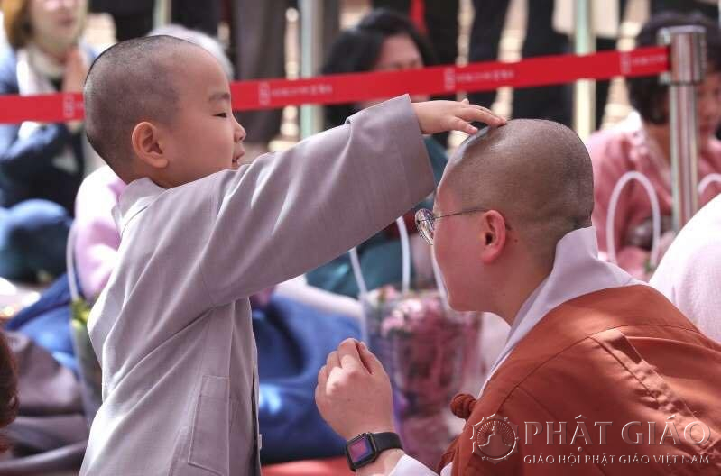 Những chú tiểu đáng yêu trong ngày xuống tóc mừng lễ Phật Đản ở Hàn Quốc 11