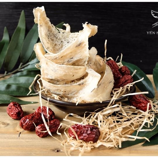 Người ăn chay có dùng được yến sào hay không? 1