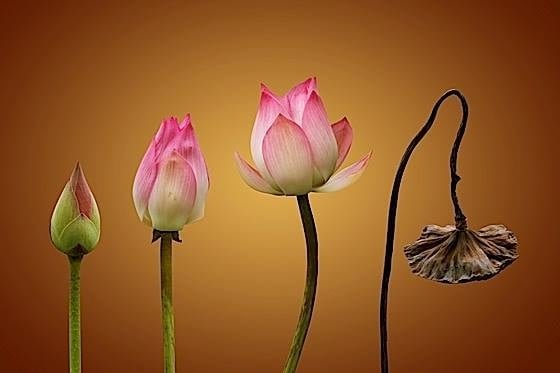 13000149 1138890736143620 802998880842193211 n 1 0757 1